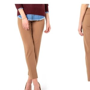 Liverpool Dress Pants